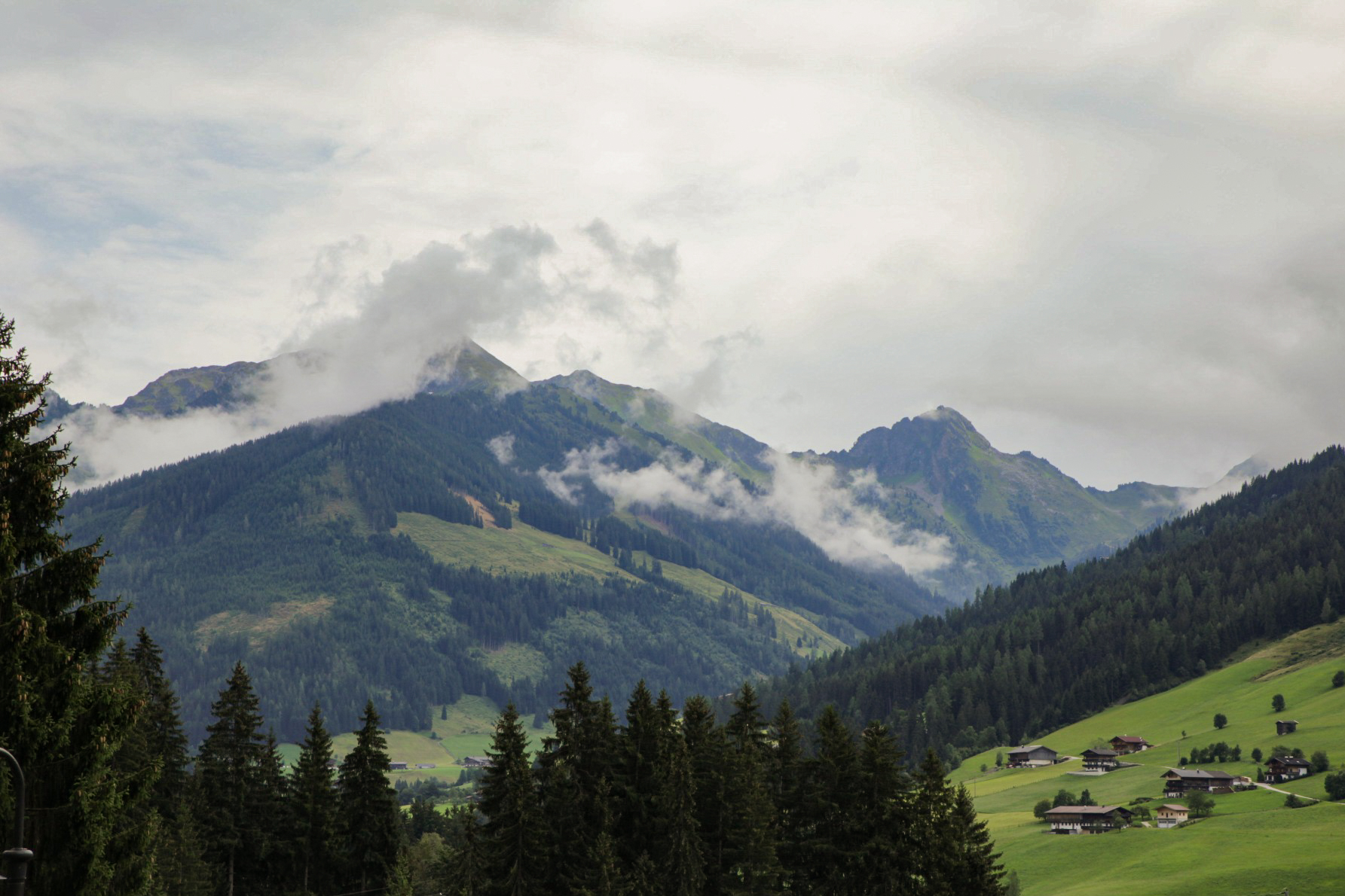 Blick auf eine bewaldete Berglandschaft mit Wolken und grünen Wiesen in Alpbach.