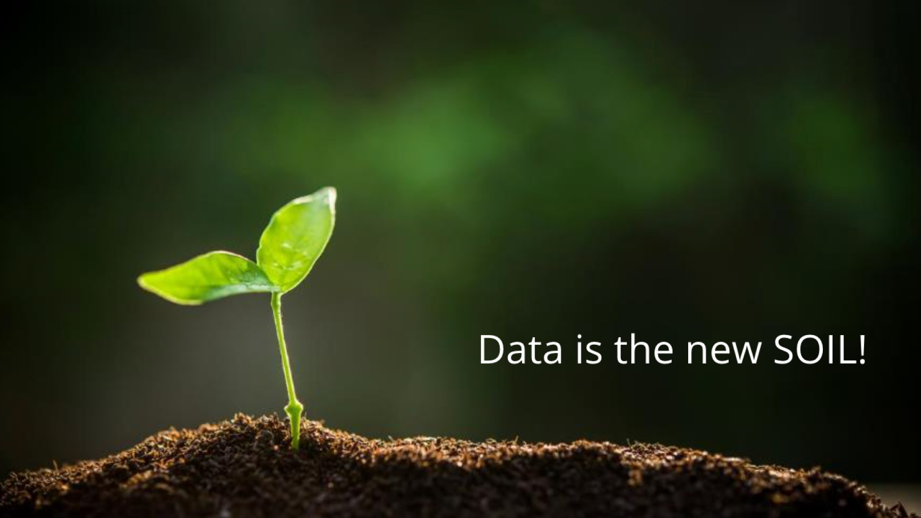 Grüner Keimling sprießt aus Erde, Text: „Data is the new SOIL!“