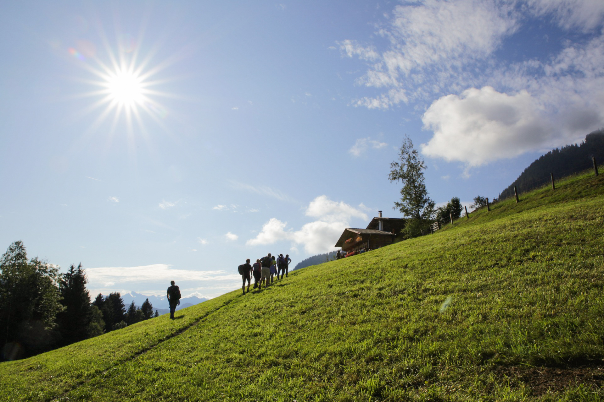Gruppe von Wandernden auf sonniger Wiese, Sonne und blauer Himmel im Hintergrund.