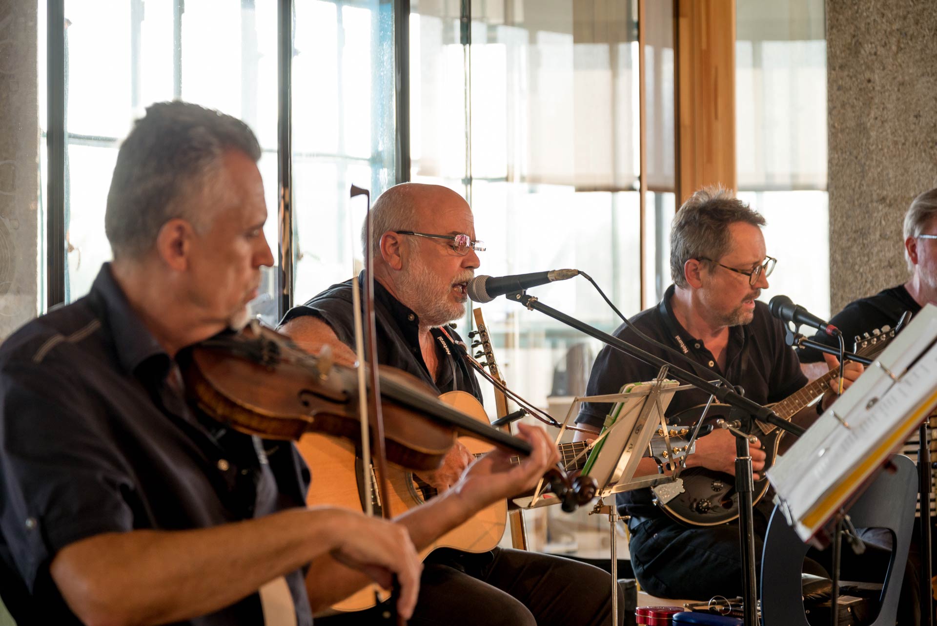 A band consisting of four men with various string instruments.