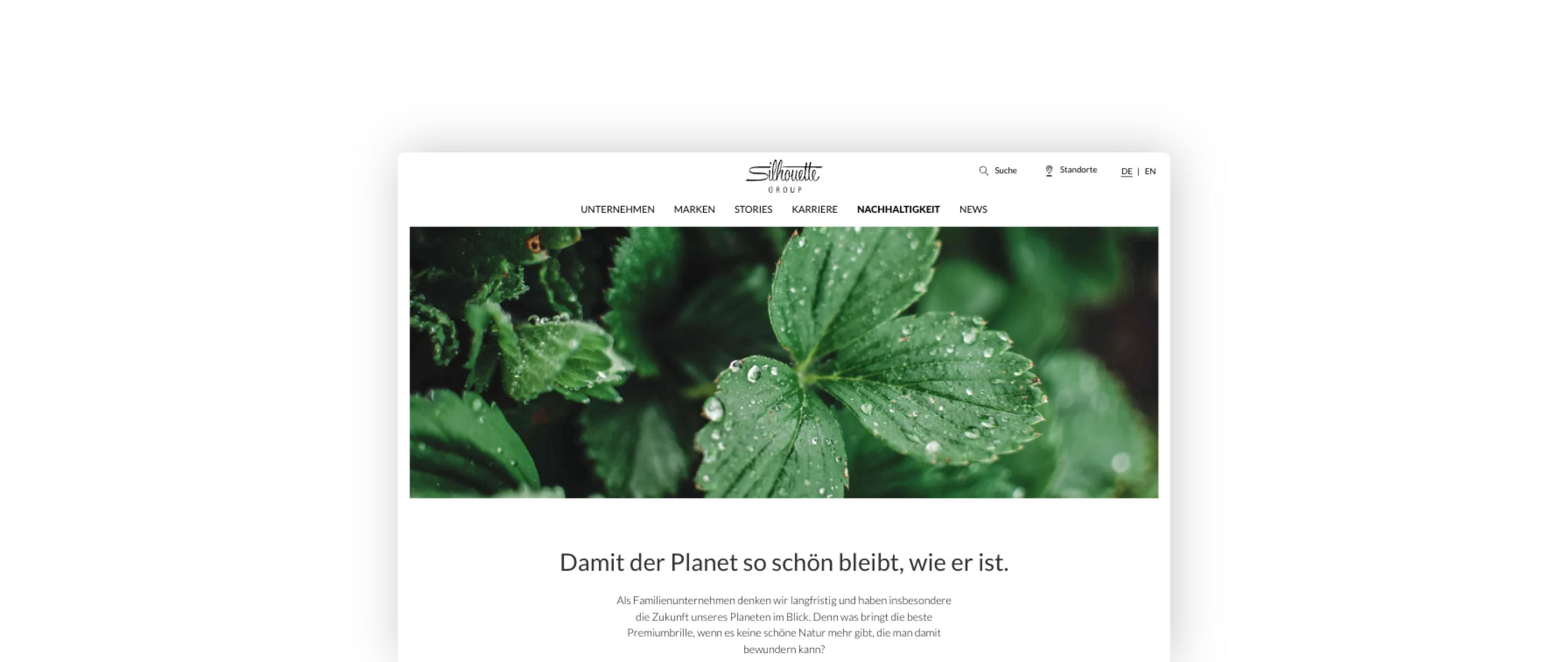 Angeschnittene Ansicht der Unterseite "Nachhaltigkeit", als Einstieg eine Nahaufnahme einer Pflanze mit Wassertropfen.