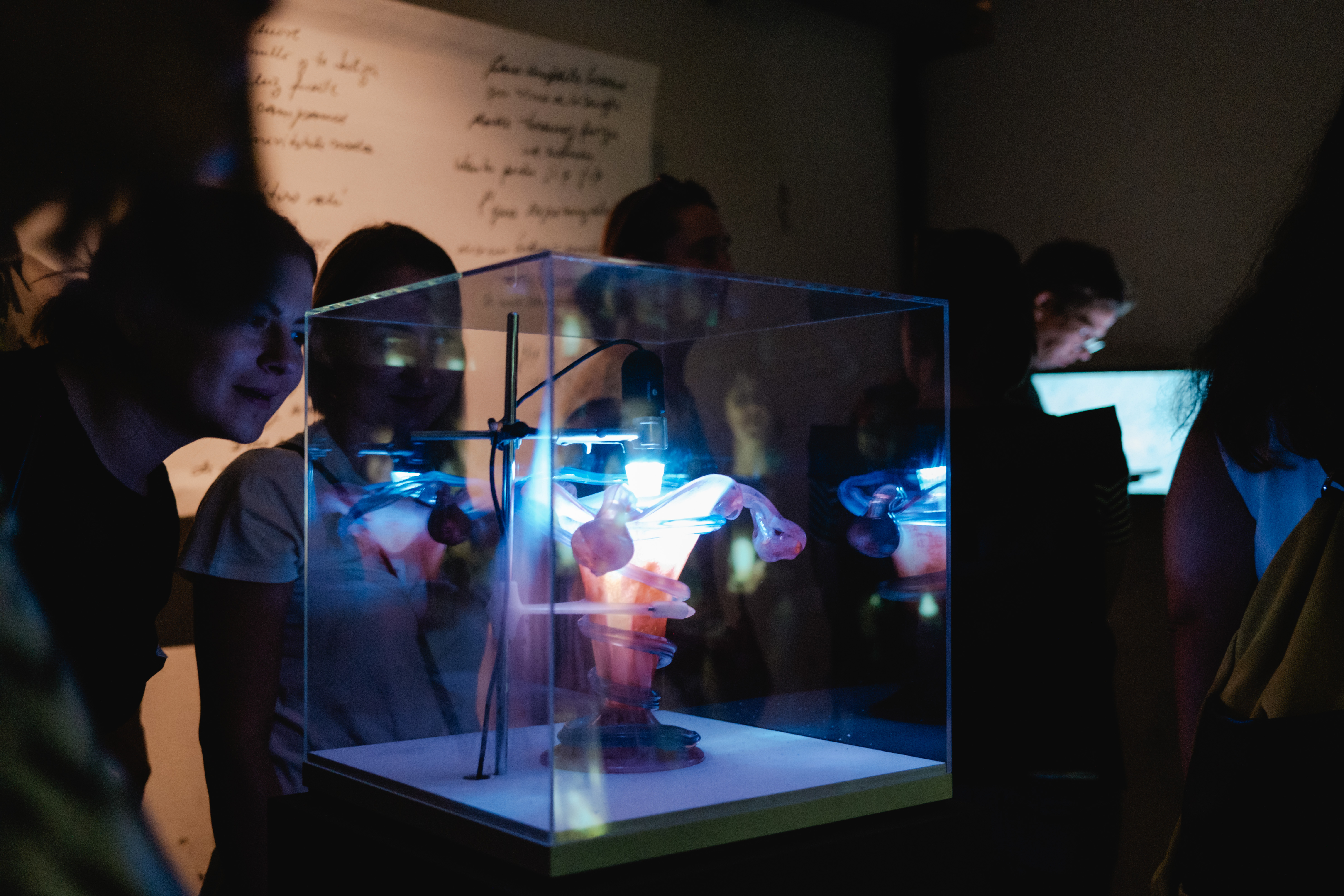 Besucher betrachten ein von Licht inszeniertes KI-Kunstobjekt in einer Glasvitrine.