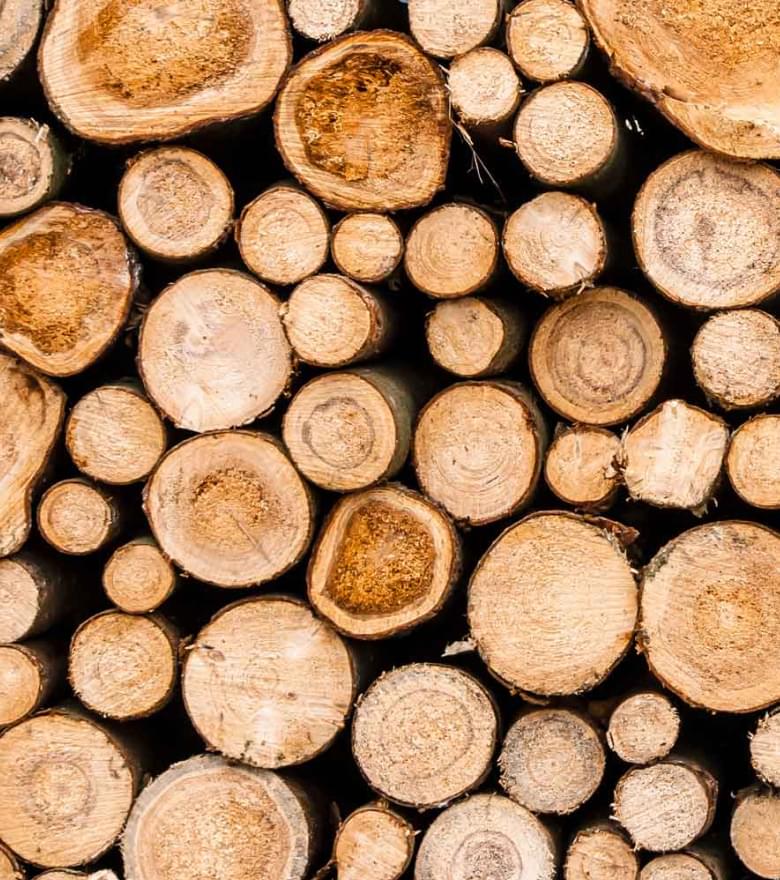 Gestapelte, frisch geschnittene Holzscheite mit sichtbaren Jahresringen und unterschiedlichen Durchmessern.