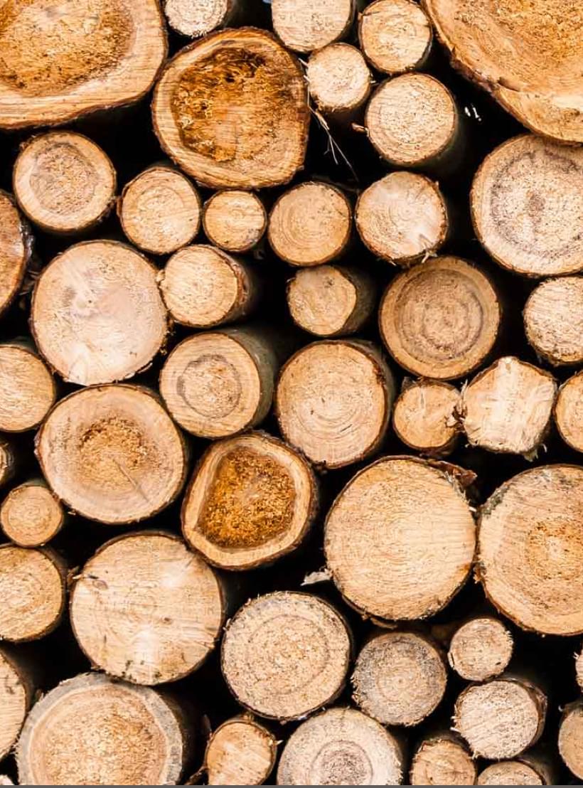 Gestapelte, frisch geschnittene Holzscheite mit sichtbaren Jahresringen und unterschiedlichen Durchmessern.